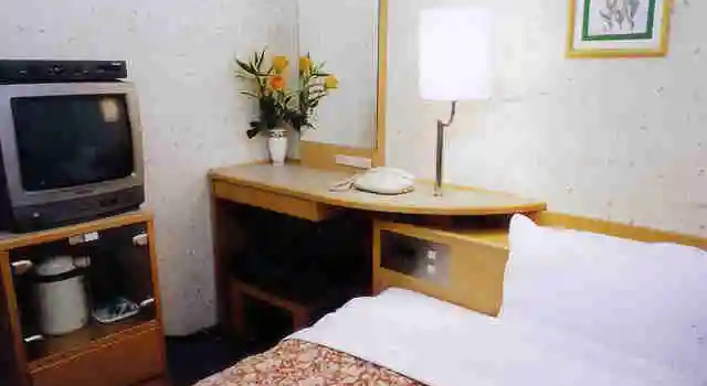 Одноместный номер Standard Sumisho Hotel