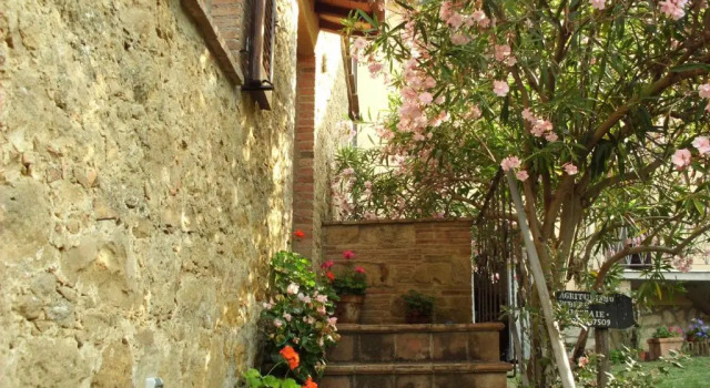 Апартаменты Agriturismo Podere Chiassaie