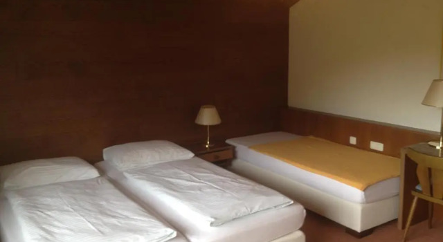 Трёхместный номер Standard с видом на озеро Seehotel Lilly