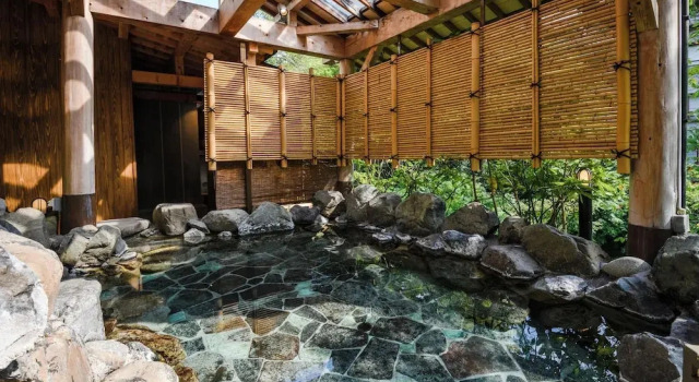 Номер Luxury Miyakowasure no Yado Korogiro