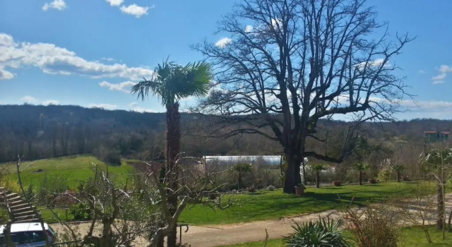 Villa Lara, Buchen Sie Villa Crklada Istrien