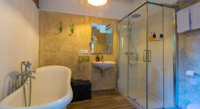 Полулюкс с видом на сад Hotel Torre Barcelona