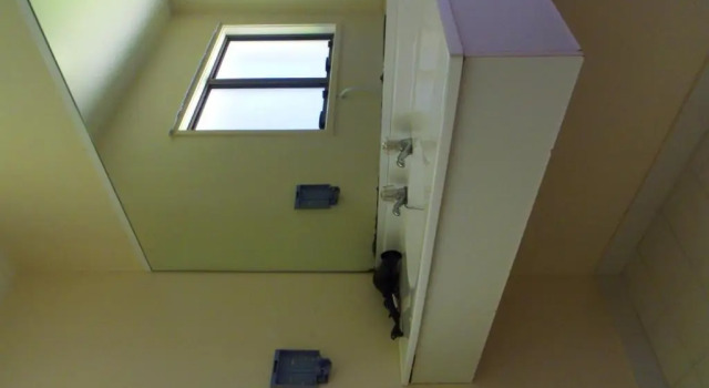 Апартаменты Kapiti Lindale Motel and Conference Centre