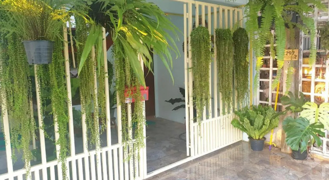 Люкс 297 Nature Residence