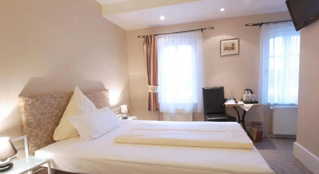 Двухместный номер Standard Hotel Am Schloss Biebrich