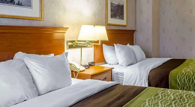 Четырёхместный люкс Comfort Inn Huntingdon