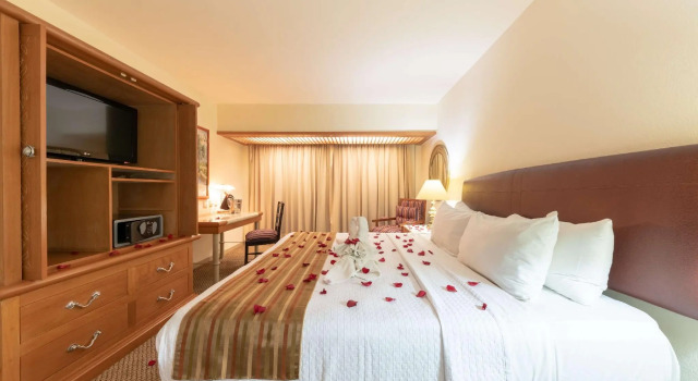 Двухместный номер Wyndham Garden Guadalajara Expo Plaza del Sol