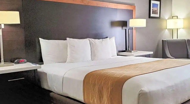 Двухместный номер Deluxe Comfort Inn & Suites Near Universal - N Hollywood - Burbank