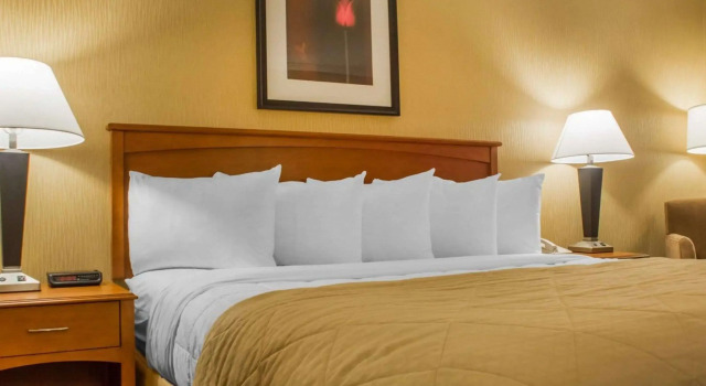 Двухместный номер Standard Clarion Hotel & Suites Riverfront