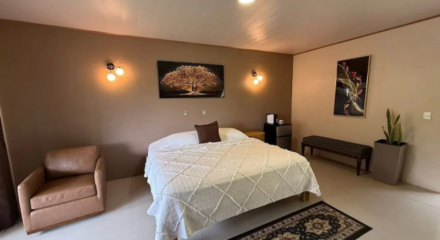 Номер Superior Hotel del Bosque