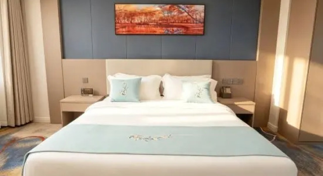 Люкс Deluxe Hongyu Furui Hotel Buerjin