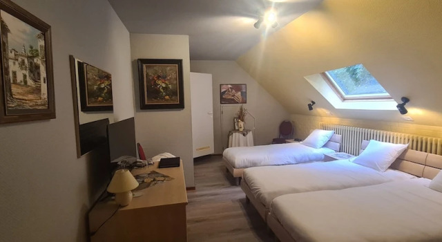 Трёхместный номер Standard Hotel Landhuis t Wilgenerf