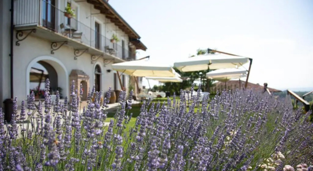 Номер Standard Agriturismo La Torricella