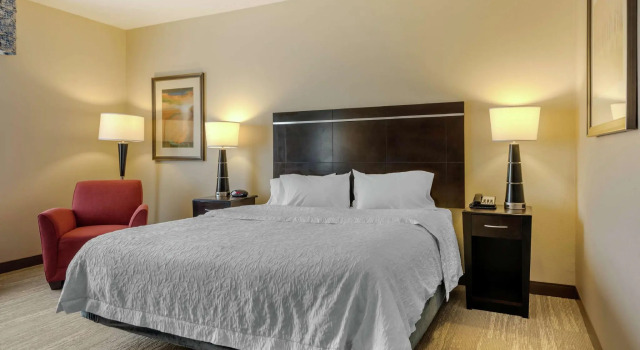 Двухместный номер Standard Hampton Inn Alamosa
