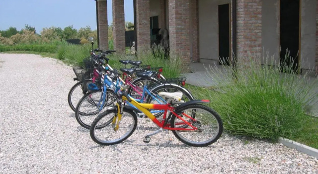 Двухместный номер Standard Agriturismo La Barena
