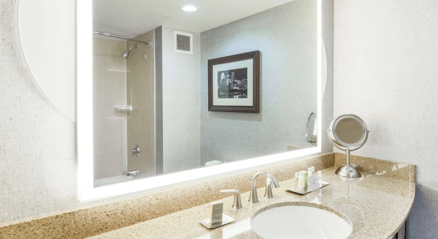 Двухместный номер Standard с видом на город DoubleTree by Hilton Austin-University Area