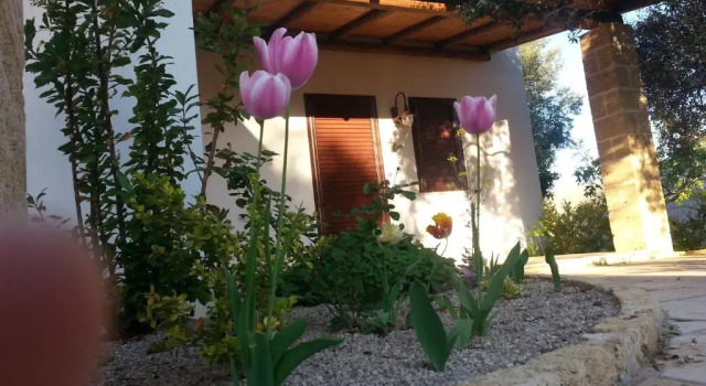 Студия Gli Ulivi Residence