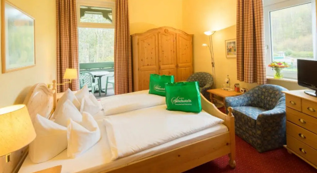 Двухместный номер Standard Solehotel Winterberg