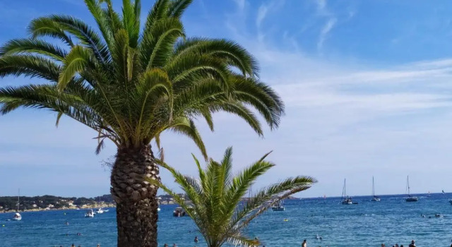 Studio Les Jardins de la Mer, Забронировать Апартаменты/квартира Отели Бандоль с парковкой, рядом с Plage du Grand Vallat, Парковка