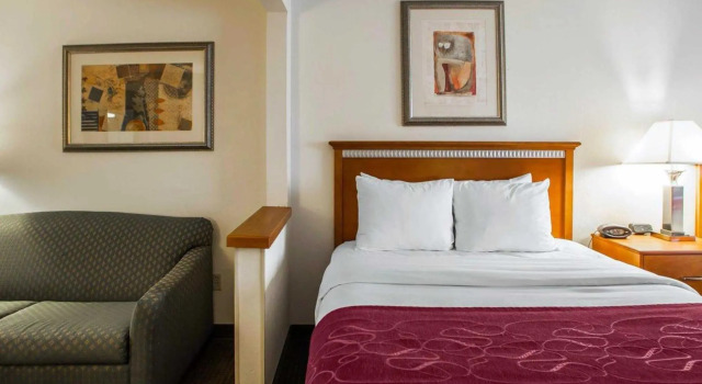 Двухместный люкс Comfort Suites Normal University area