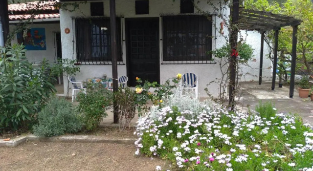 Persefoni house