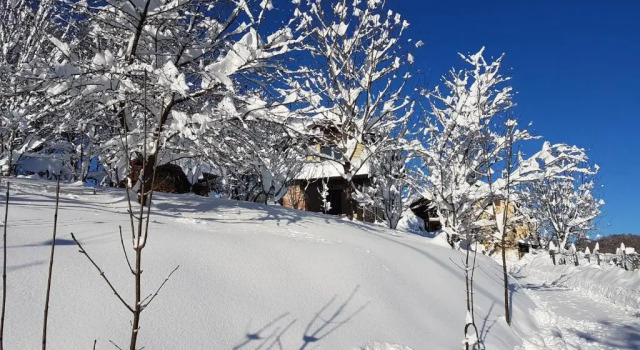 Mökki näkymä Casa Vacanze Le Primule