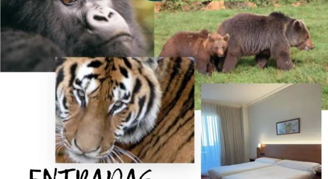 Двухместный номер Hotel Milagros Golf