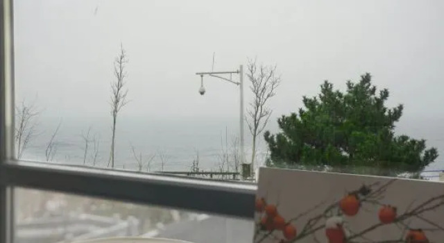 Люкс Deluxe Maple Seaview Holiday Homestay (Qingdao May Fourth Square Yan'erdaoshan Park)