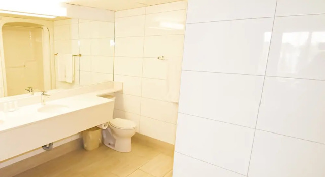 Двухместный люкс Canad Inns Destination Centre Club Regent Casino Hotel
