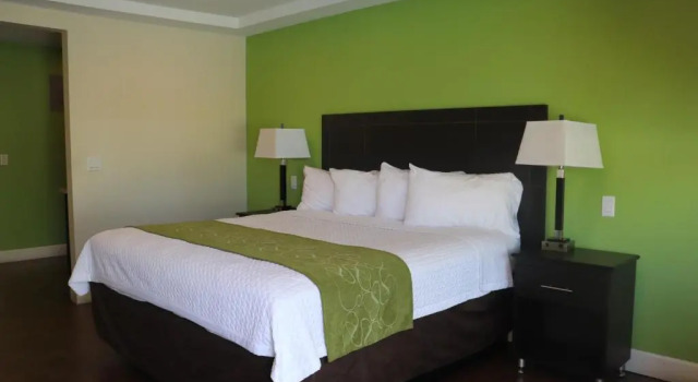 Номер Standard Curtis Inn & Suites