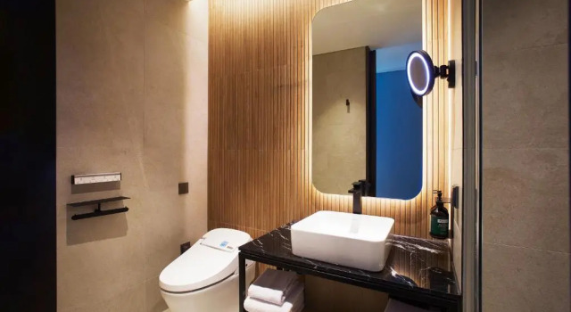 Двухместный номер Premium voco Seoul Gangnam by IHG