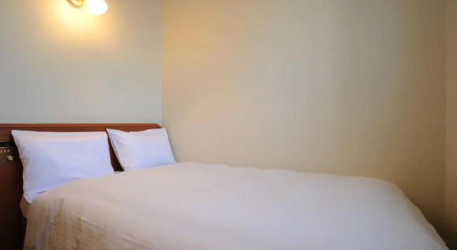 Двухместный номер Standard Suizenji Comfort Hotel
