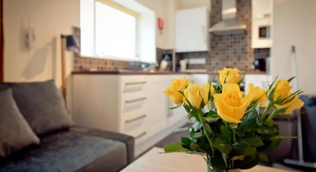 Top View 2 Bedroom Apartments Plymouth