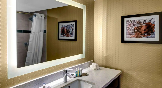 Двухместный номер Standard с балконом Doubletree by Hilton Arlington DFW South
