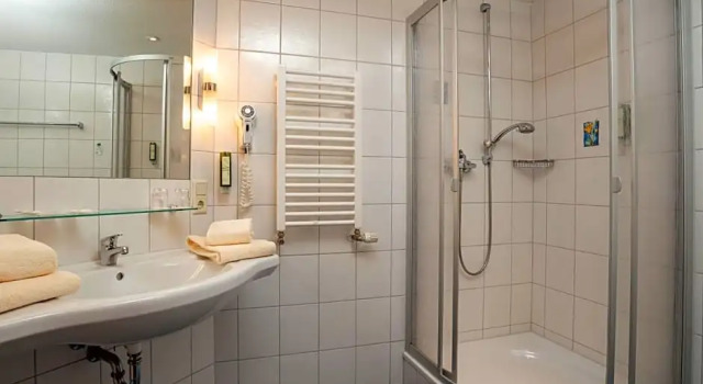 Номер Standard с видом на парк Hotel Am Kurhaus mit erstem Ayurveda Center Sachsens - direkt am Gesundheitsbad ACTINON & Kurpark