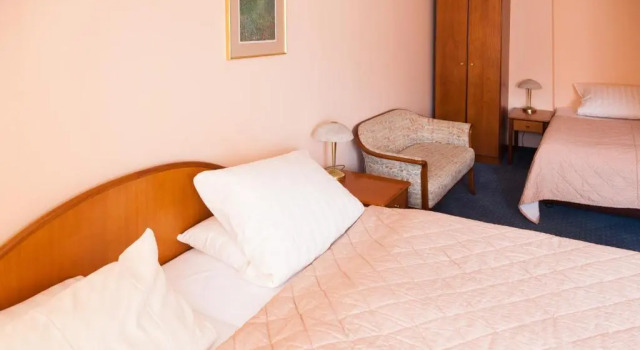 Трёхместный номер Standard Hotel Rubin