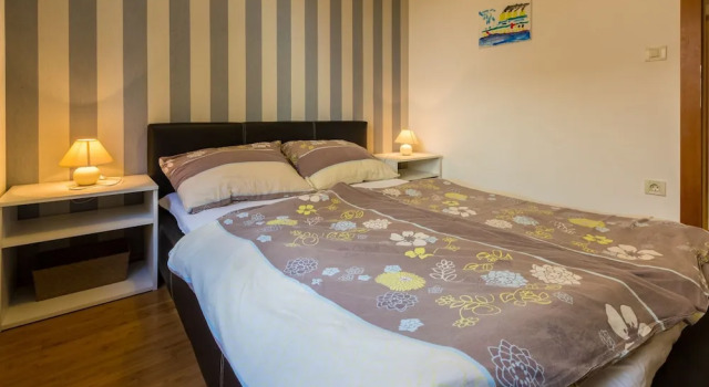 Apartment Marko