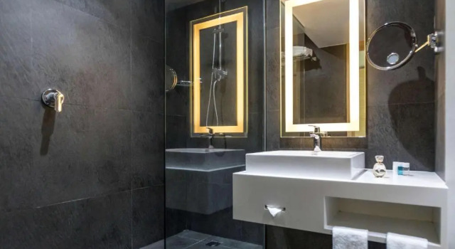 Двухместный номер Executive Novotel Mexico City Santa Fe
