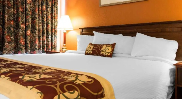 Suite Rodeway Inn