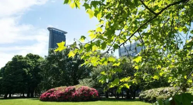 BizStay City Center Apartments, Book Apartment Laak 
