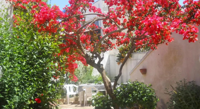 Коттедж с 3 комнатами il giardino fiorito, colori e profumi a due passi dal mare