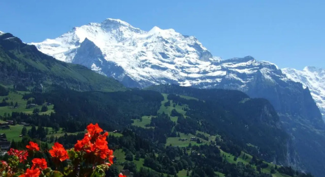 Одноместный номер Standard с балконом Hotel Bellevue - Traditional Swiss Hideaway