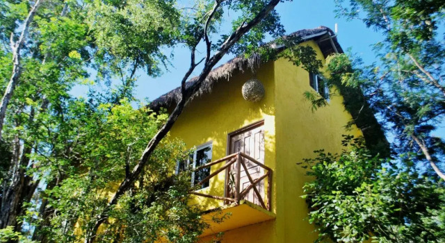 The Yellow House