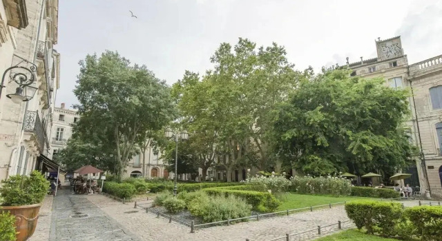 Terrasse de la Canourgue - Premi re Conciergerie, Забронировать Апартаменты/квартира Монпелье Hérault, рядом с Площадь Ла-Канург