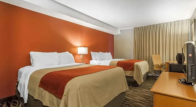 Четырёхместный номер Standard Цокольный этаж Spark by Hilton Oshawa