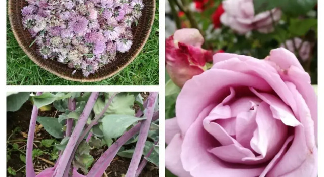 Warmoes tuinderswoning, Réserver Hôtel Nimègue Rijk van Nijmegen