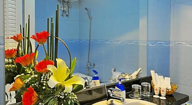 Полулюкс Deluxe с видом на сад Ideal Hotel Hue