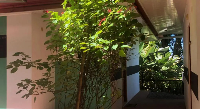 Люкс c 1 комнатой Casa del Toucan