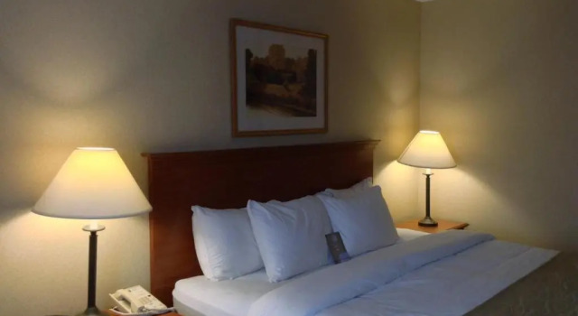 Номер Standard Comfort Inn - Gander