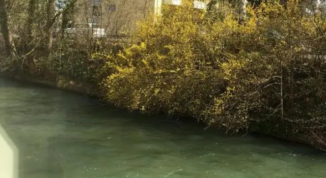Студия Apartment am Bach